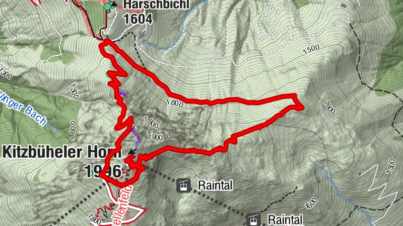 Kitzbüheler Horn über Horn-Gipfel-Höhenweg