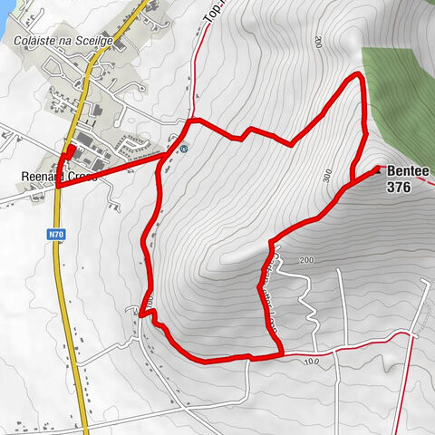 Reenard Cross - Bentee