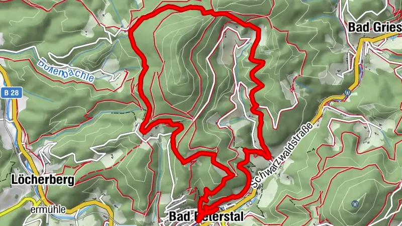 Schwarzwaldsteig in Bad Peterstal-Griesbach - eine Tour für "Weitblicker"