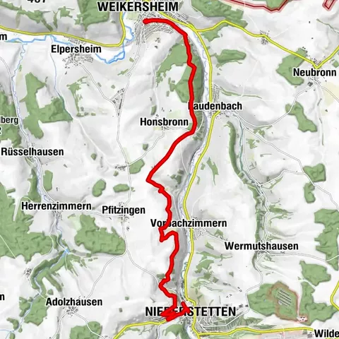 Zu den Wild-Tulpen im Vorbachtal 