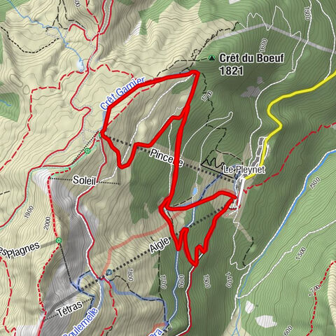 Oursons - Pincerie - Le Pleynet