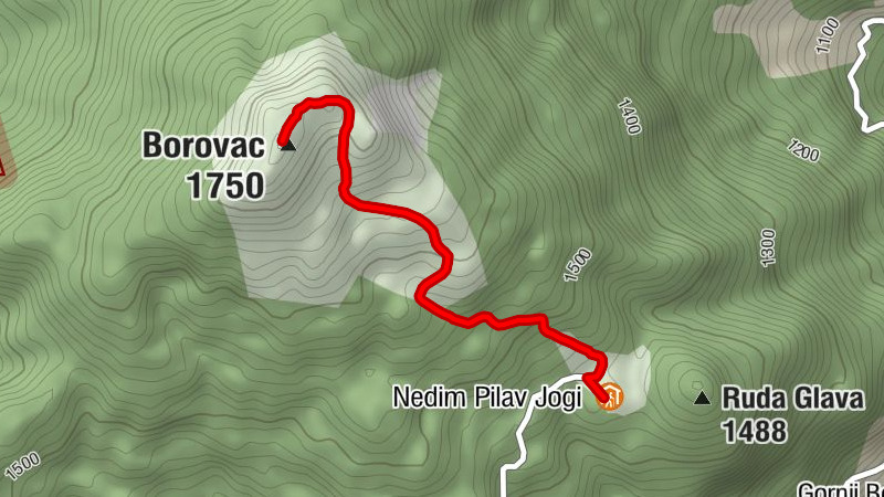 Nedim Pilav Jogi - Borovac