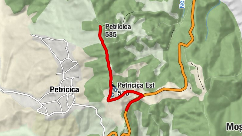 Luizi-Călugăra - Petricica Est - Petricica