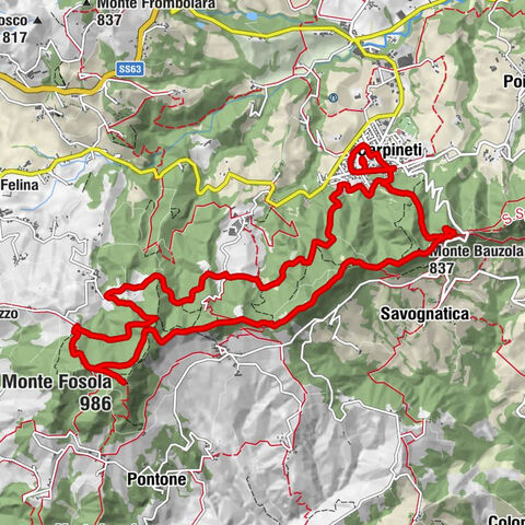 Carpineti - Monte Bauzola - Crocetta - Monte Fosola