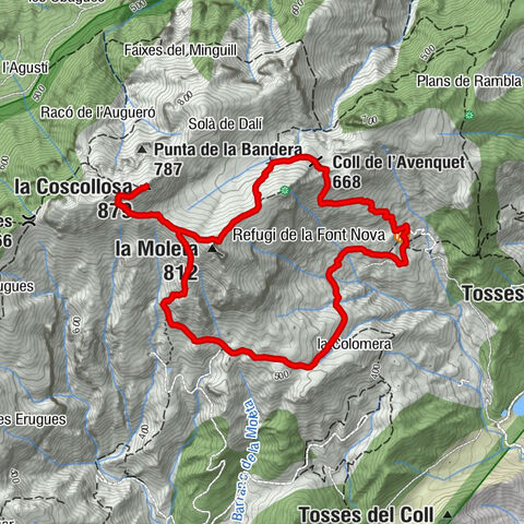 Refugi de la Font Nova - Coll de la Moleta - la Coscollosa - la Moleta