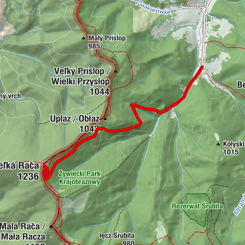 Rycerka Górna Kolonia - Ziajówka - Veľká Rača - Schronisko PTTK na Wielkiej Raczy