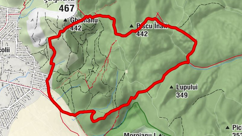 Greci - Dealul cu Drum - Piscu Înalt - Carabalu