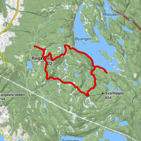 Ringerike - Ringkollen