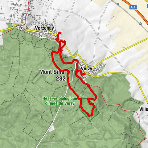 Verzy - La Cocluse - Mont Sinaï - Chapelle Saint-Basle