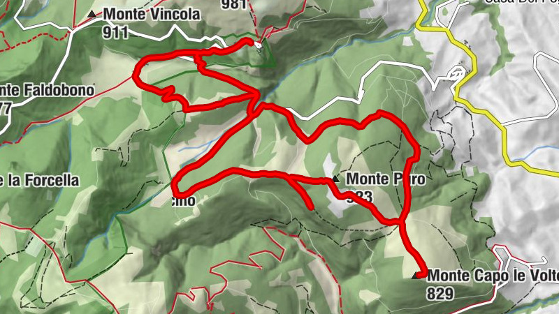 Elcito - Monte Puro - Monte Capo le Volte - Il Cantuccio