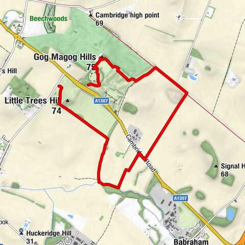Wandlebury Hill - Gog Magog Hills - Ely View - Stapleford
