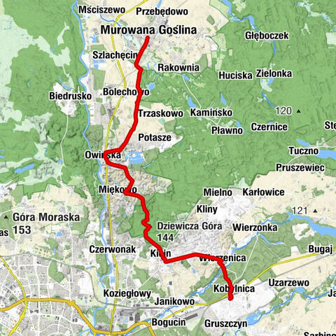 Murowana Goślina - Dziewicza Góra - Kobylnica