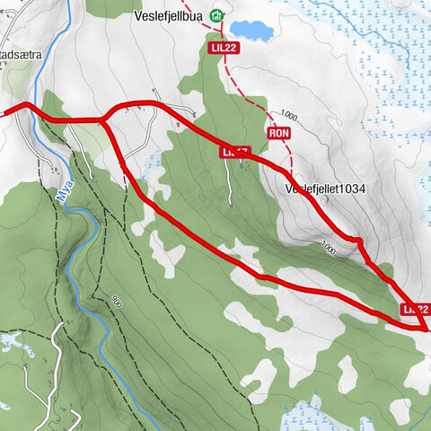 Forrestadsætra - Veslefjellet - Ringebu