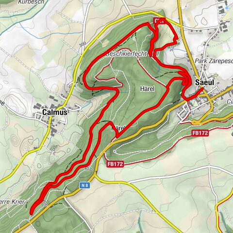 Saeul - Extrawurscht - Calmus - Härel
