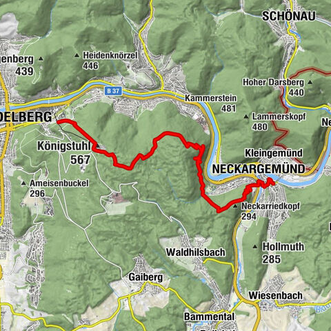 Heidelberg - Bergstube - Königstuhl - Neckargemünd
