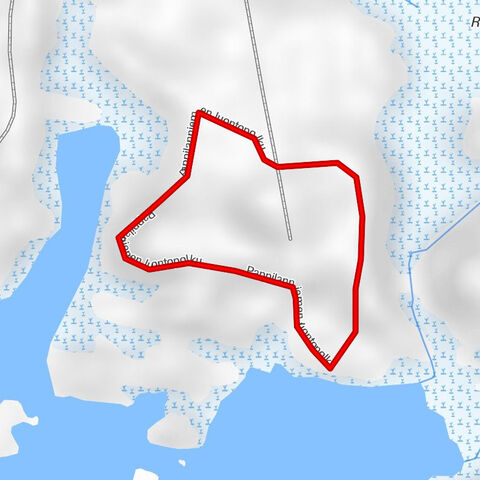 Siikainen