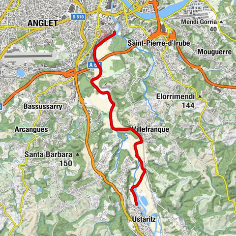 Bayonne - Floride - Coq de la Nive