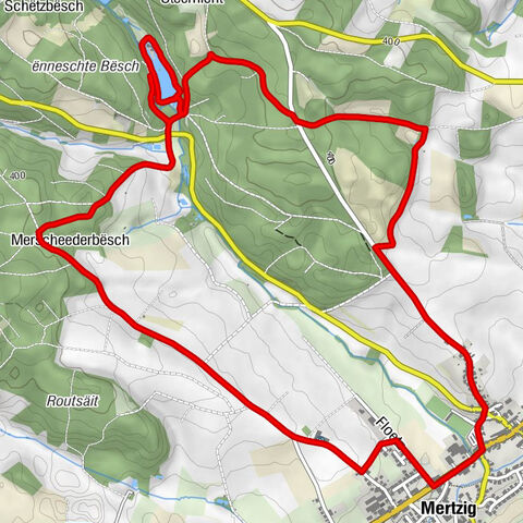 Saint-Étienne - Merscheederbësch - Source Turelbach - Mertzig
