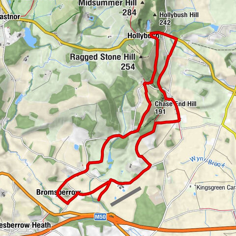 Hollybush - Whiteleaved Oak - Chase End Hill - Bromesberrow