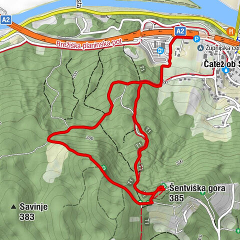 Čatež ob Savi - Sveti Vid - Šentviška gora - Brežice