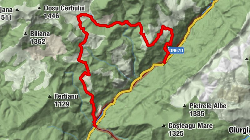 Cornereva - Izvor Dobraia - Prisacina - Izvor Ineleț