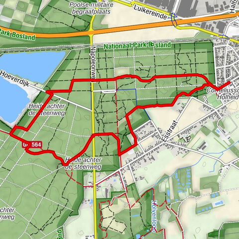 Holheide