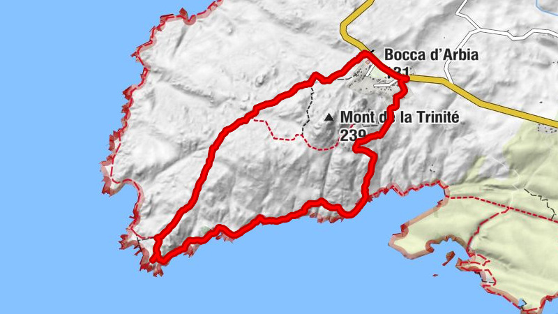 Bocca d'Arbia