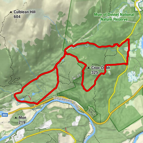 Muir of Dinnet - Cambus o' May - Cnoc Dubh - Aberdeenshire