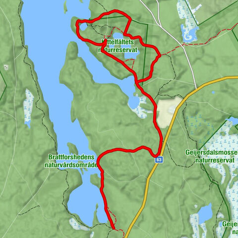 Ångsågen - Stegelviken