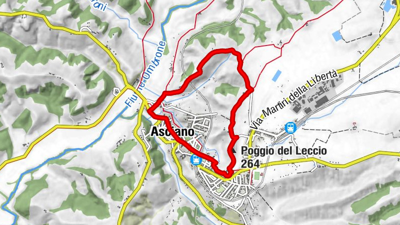Basilica di Sant'Agata - San Bernardino - Sant'Agostino - Poggio del Leccio