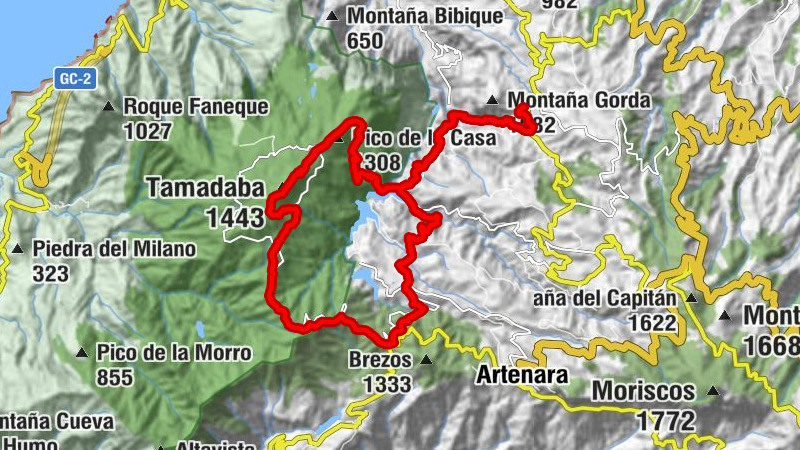 Fagajesto - Pico de la Casa - Pico de la Bandera - Tamadaba