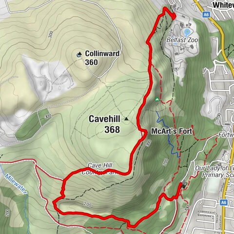 The Castletavern & Bistro - McArt's Fort - Newtownabbey - Cavehill