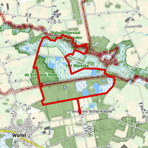 Wortel-Kolonie
