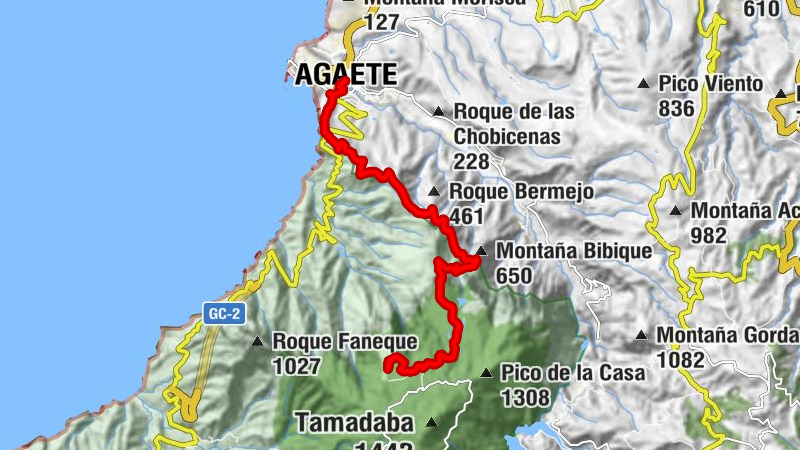 Agaete - Degollada Abejera - Montaña de las Presas