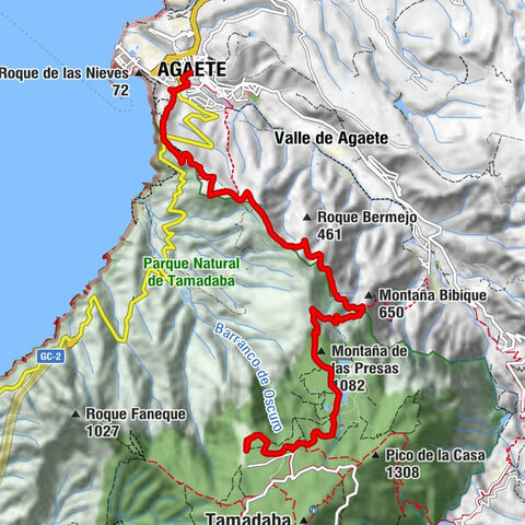 Agaete - Degollada Abejera - Montaña de las Presas