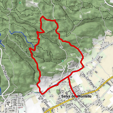 Selva del Montello