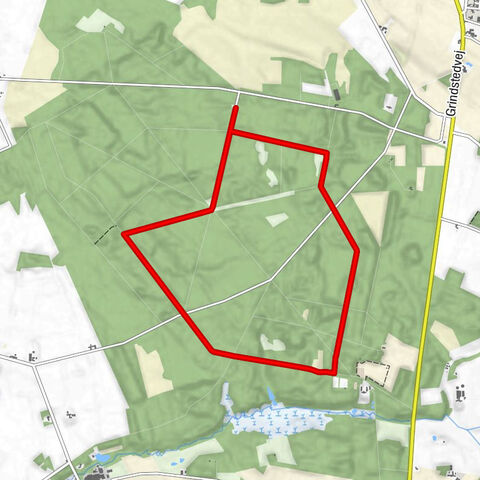 Vejen Kommune - Syvstjernen