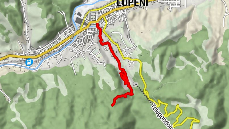 Lupeni
