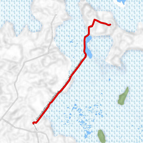 Siikainen