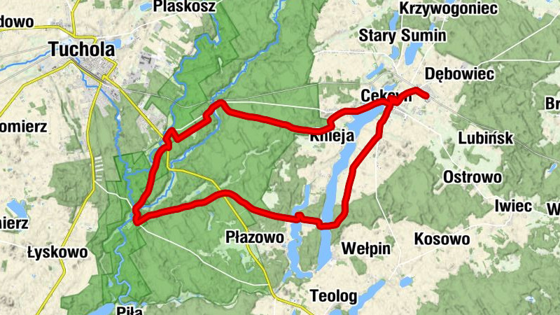 powiat tucholski - Cekcyn - Kościół pw. Podwyższenia Krzyża Świętego - Madera