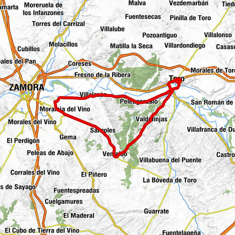 Moraleja del Vino - Iglesia de Nuestra Señora de la Asunción - Iglesia de San Lorenzo el Real - Iglesia del Santo Sepulcro