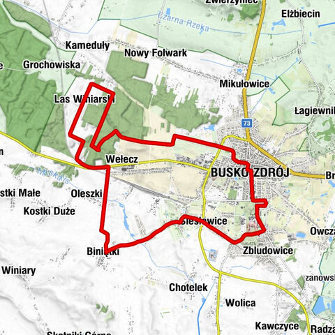 Busko-Zdrój - Kościół pw. Niepokalanego Poczęcia Najświętszej Maryi Panny - Kaplica św. Anny - Ignacy