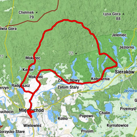 Kościół pw. Męczeństwa św. Jana Chrzciciela - Radgoszcz - Kościół pw. Niepokalanego Serca Maryi - Międzychód