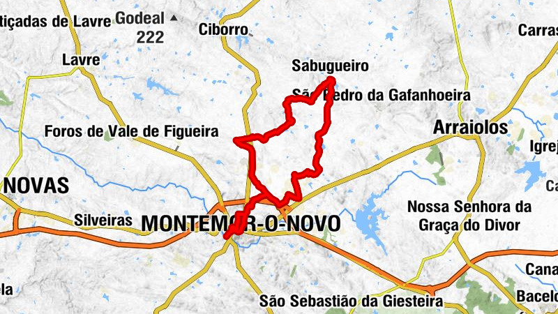 Nossa Senhora da Vila, Nossa Senhora do Bispo e Silveiras - Capela de São Lázaro - Igreja de Santa Clara do Sabugueiro - Montemor-o-Novo