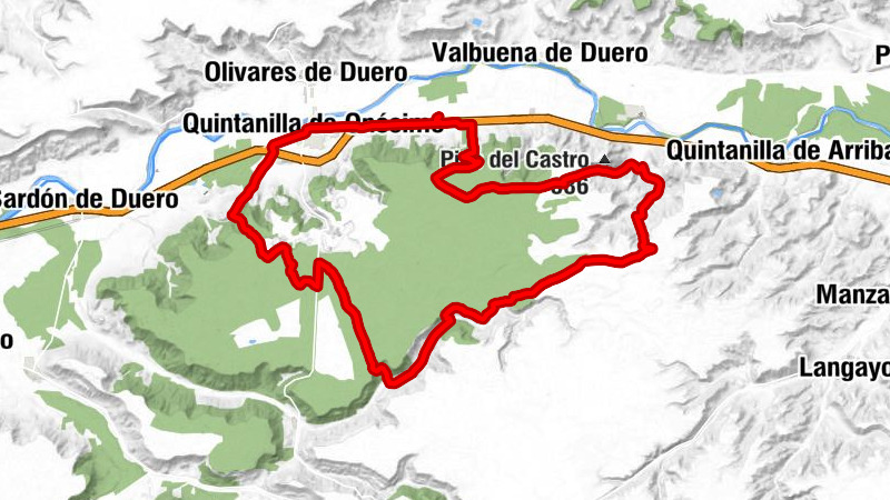 Restaurante de Bodegas Arzuaga - Ermita del Cristo del Cabañón - Ermita de San Roque - Iglesia de San Millán