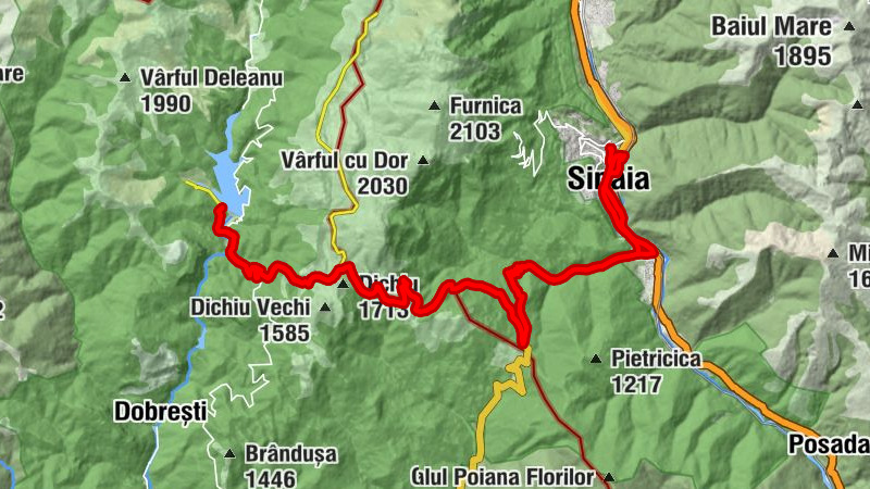 Sinaia - Troiţa „Badea Cârţan” - Cuibul Dorului - Șaua Dichiu