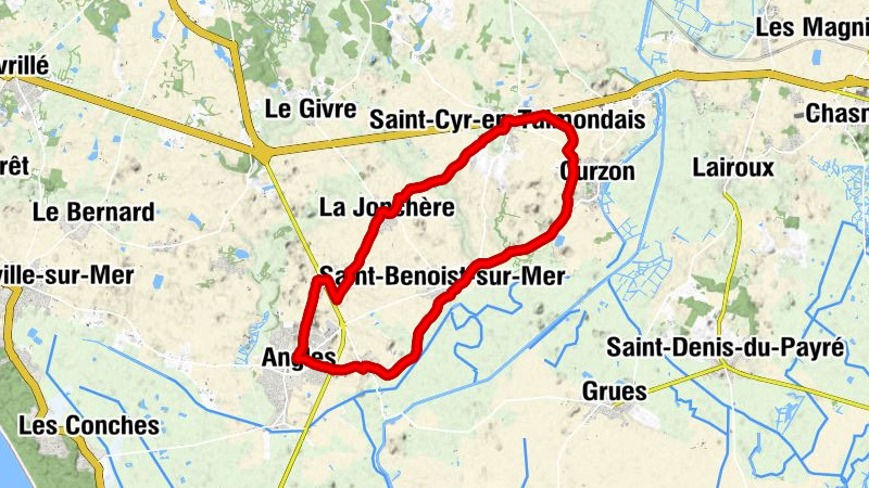 Les Mimosas - Église Saint-Martin-de-Vertou - Église Notre-Dame-de-l'Assomption - Saint-Benoist-sur-Mer