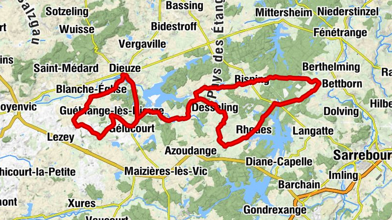 Dieuze - Église Saint-Pierre-aux-Liens - Chapelle Sainte-Anne - Église Saint-Adelphe