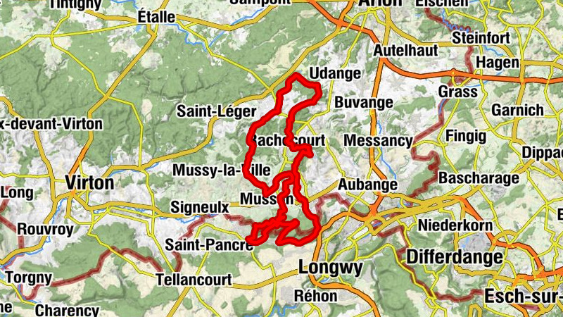 Clos du Blanc Cadet - Les Jeangout'rmands - Église Saint-Remy - Halanzy