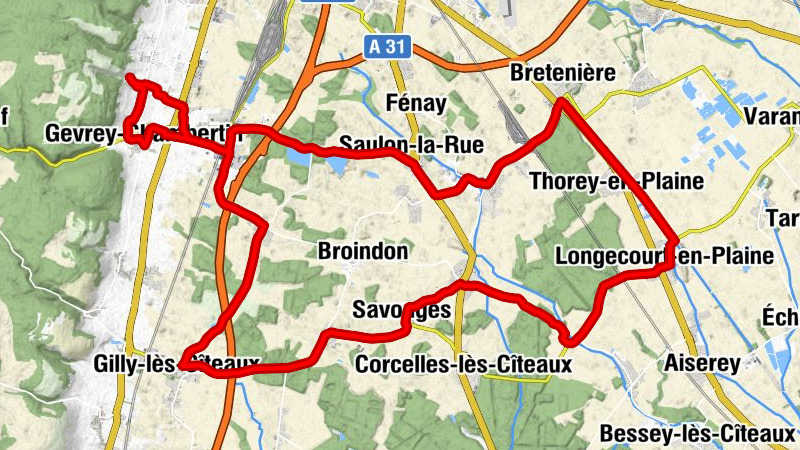 Le Brochonnais - Église Saint-Sébastien - Église Saint-Didier - Église Saint-Philibert